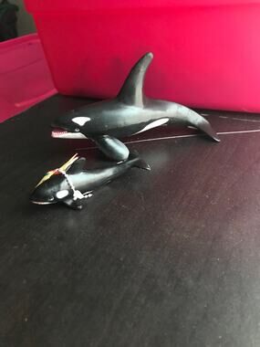1996 Safari Killer Whale Adult and Calf